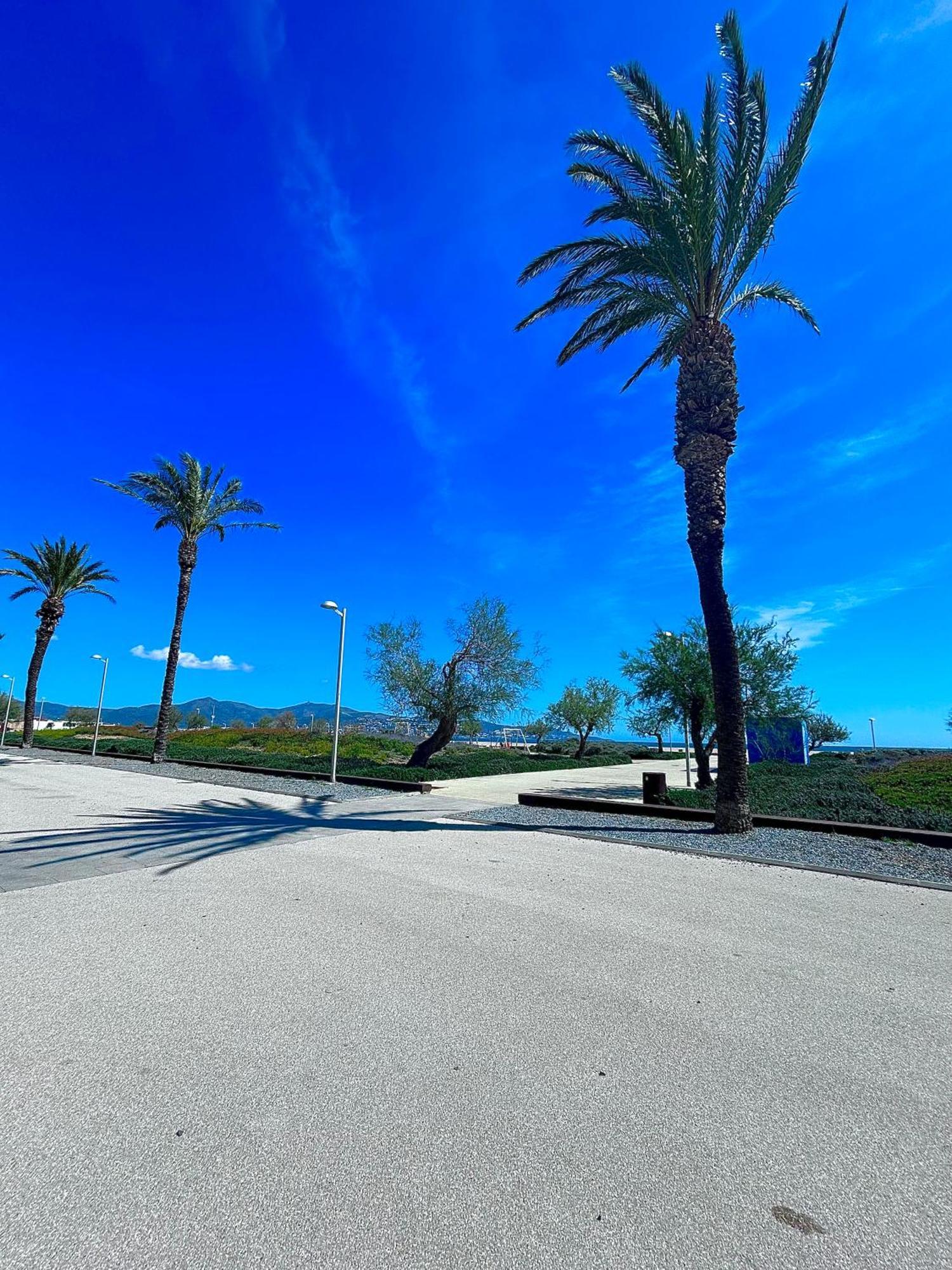 Pieds Dans L Eau Linges De Maison Inclus Empuriabrava Esterno foto